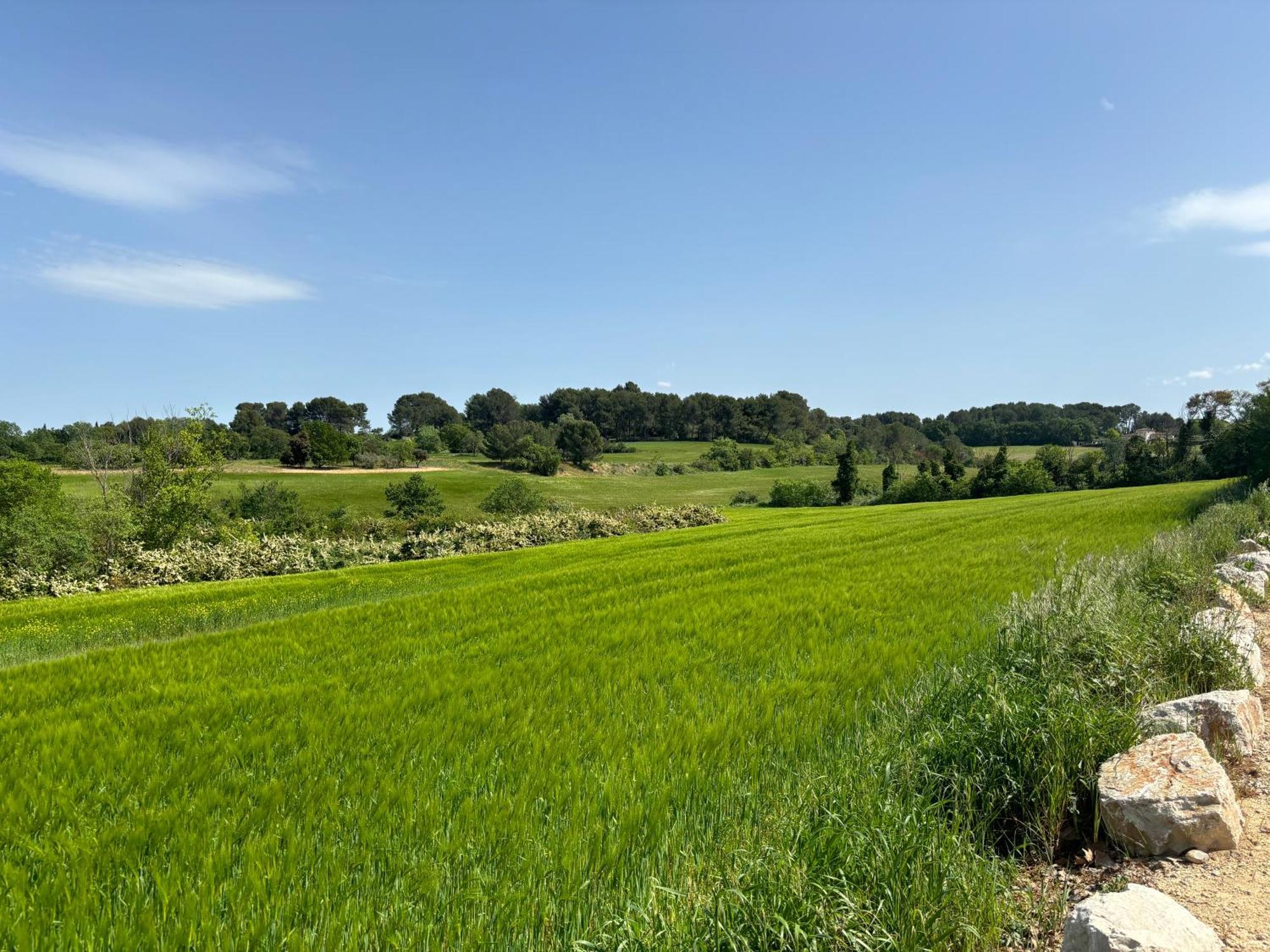 Havre De Paix Au Sein D'Un T3 D'Une Bastide Aixoise Aix-en-Provence Exterior foto