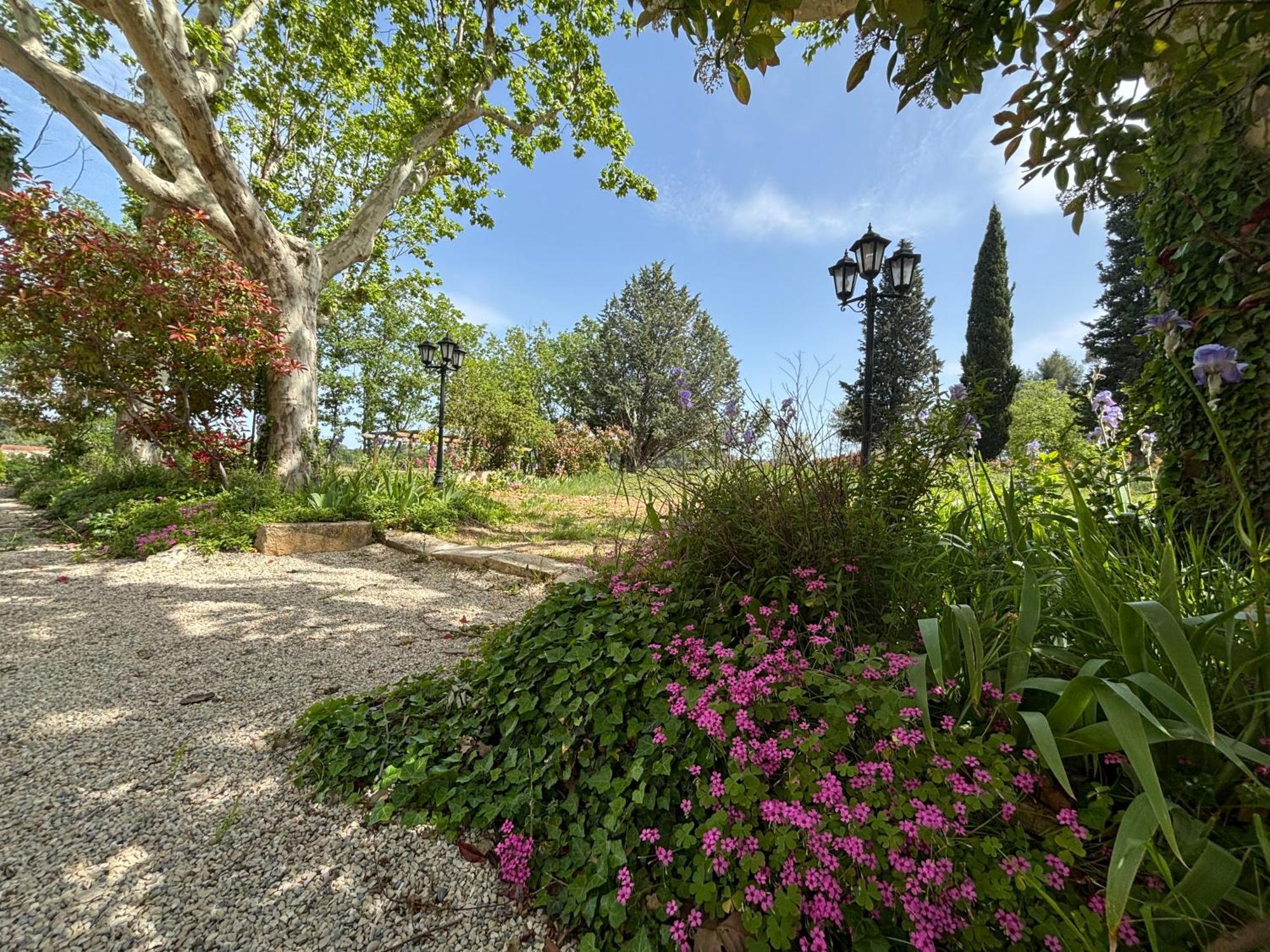 Havre De Paix Au Sein D'Un T3 D'Une Bastide Aixoise Aix-en-Provence Exterior foto